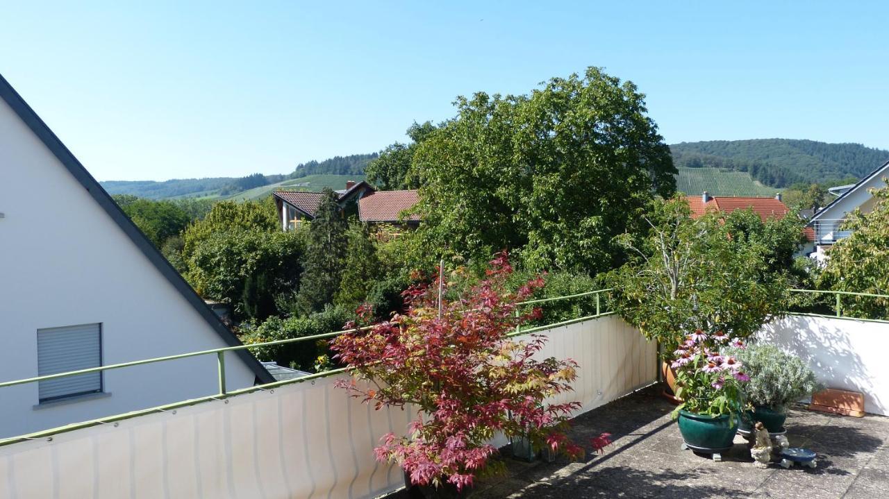 Eifelidylle Am Moselmaareradweg Apartment Wittlich Luaran gambar